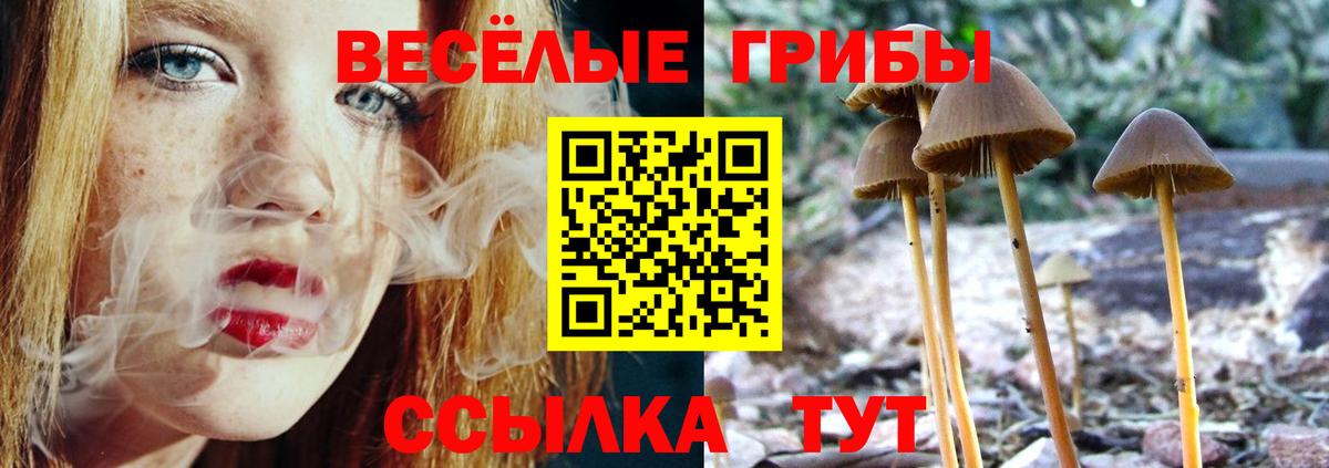 Галлюциногенные грибы ЛСД Карпинск